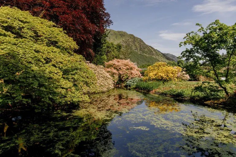 Benmore Botanic Garden
